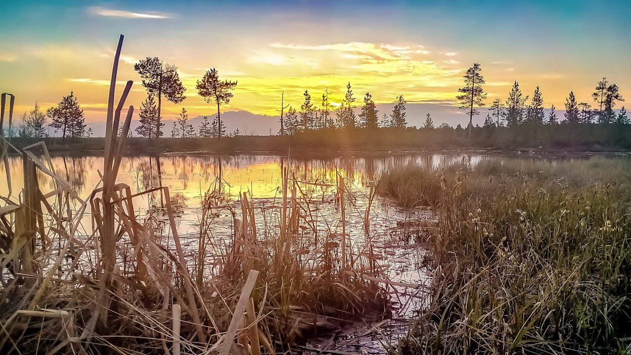 Таменгонтское болото