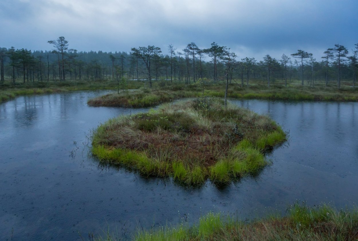 Болото Харвази