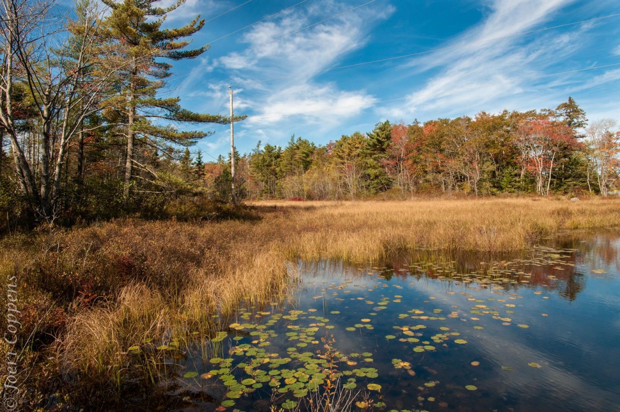 Таменгонтское болото