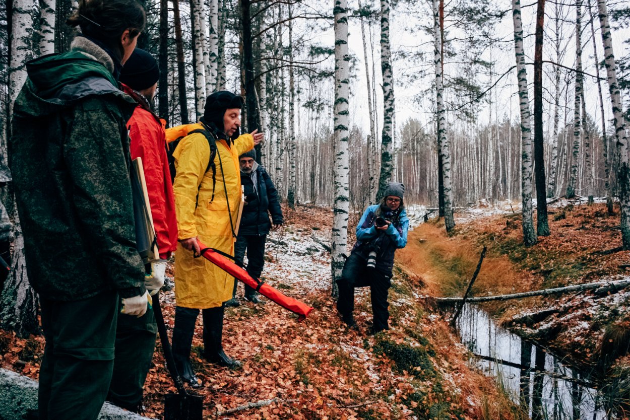 Таменгонтское болото Ломоносовский район