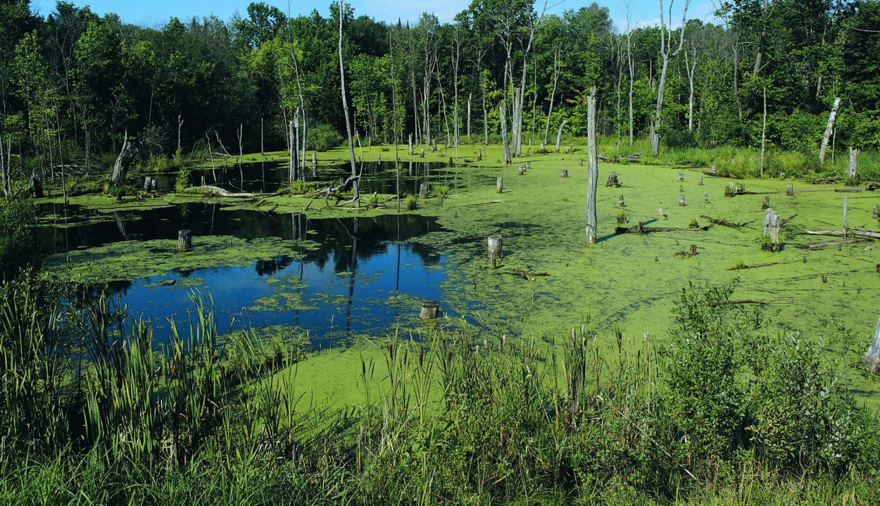 Светлое озеро Кадыйский район