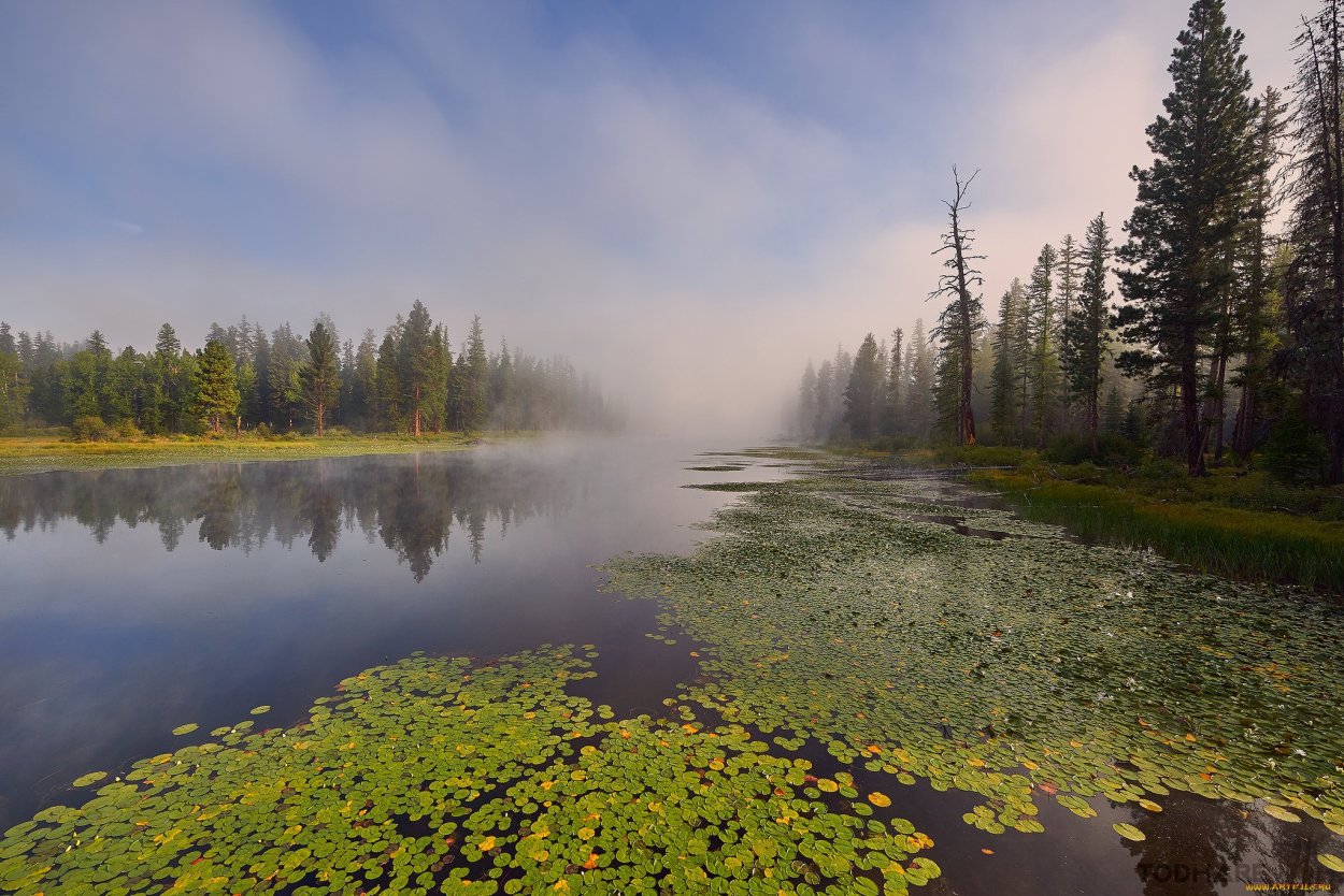 Болотная Гать
