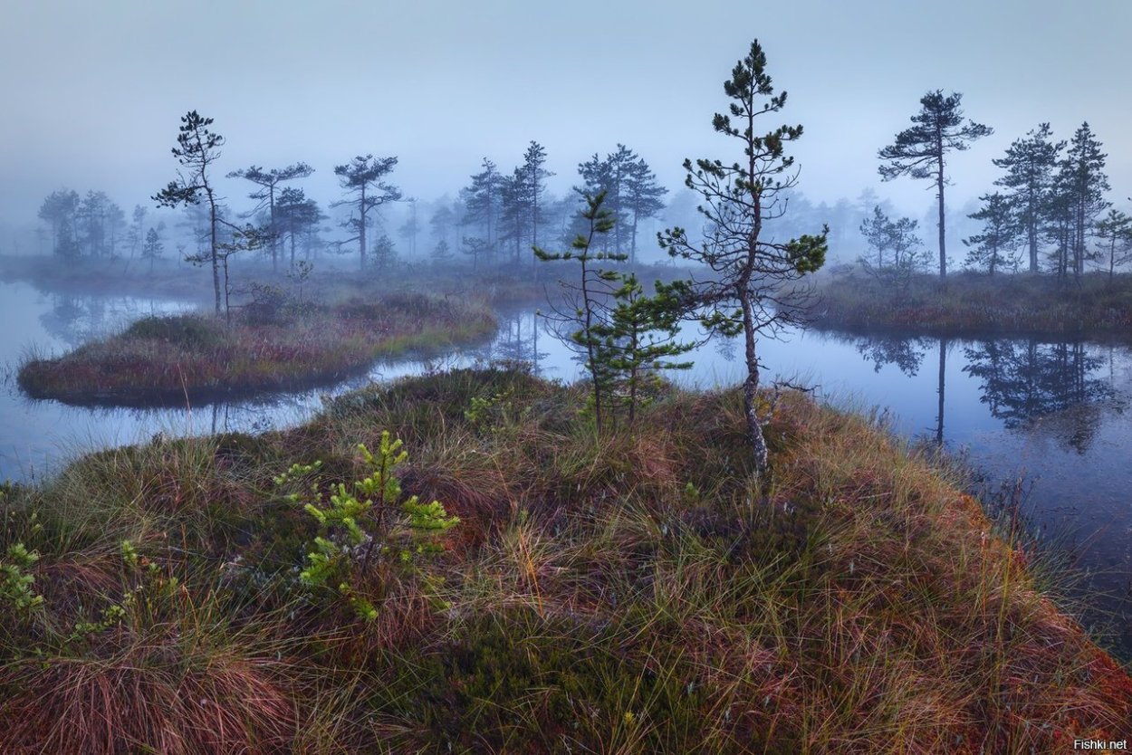 Ландшафтный заказник Ельня