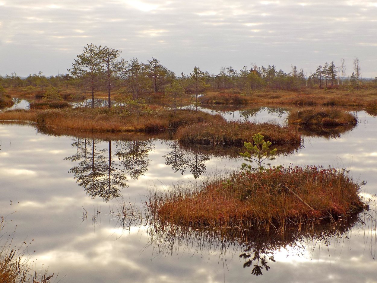 Болото Харвази