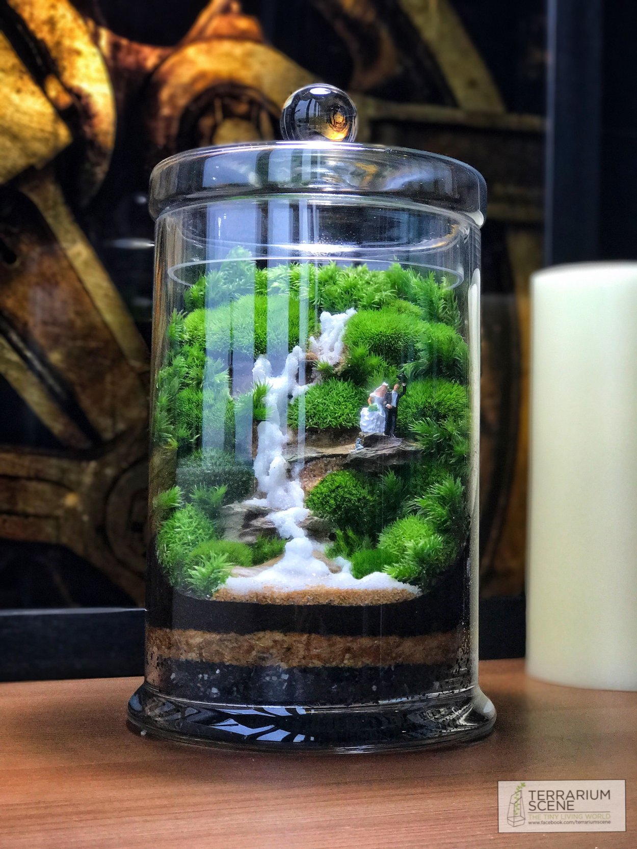 Флорариум бонсай водопад