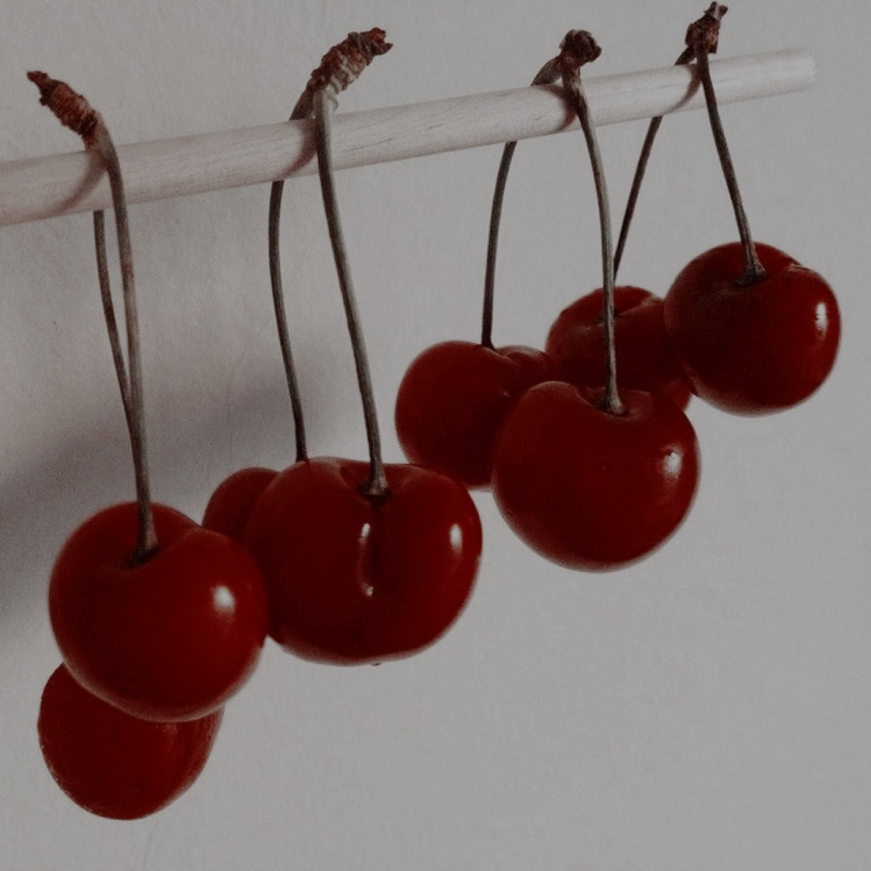 Черешня Эстетика