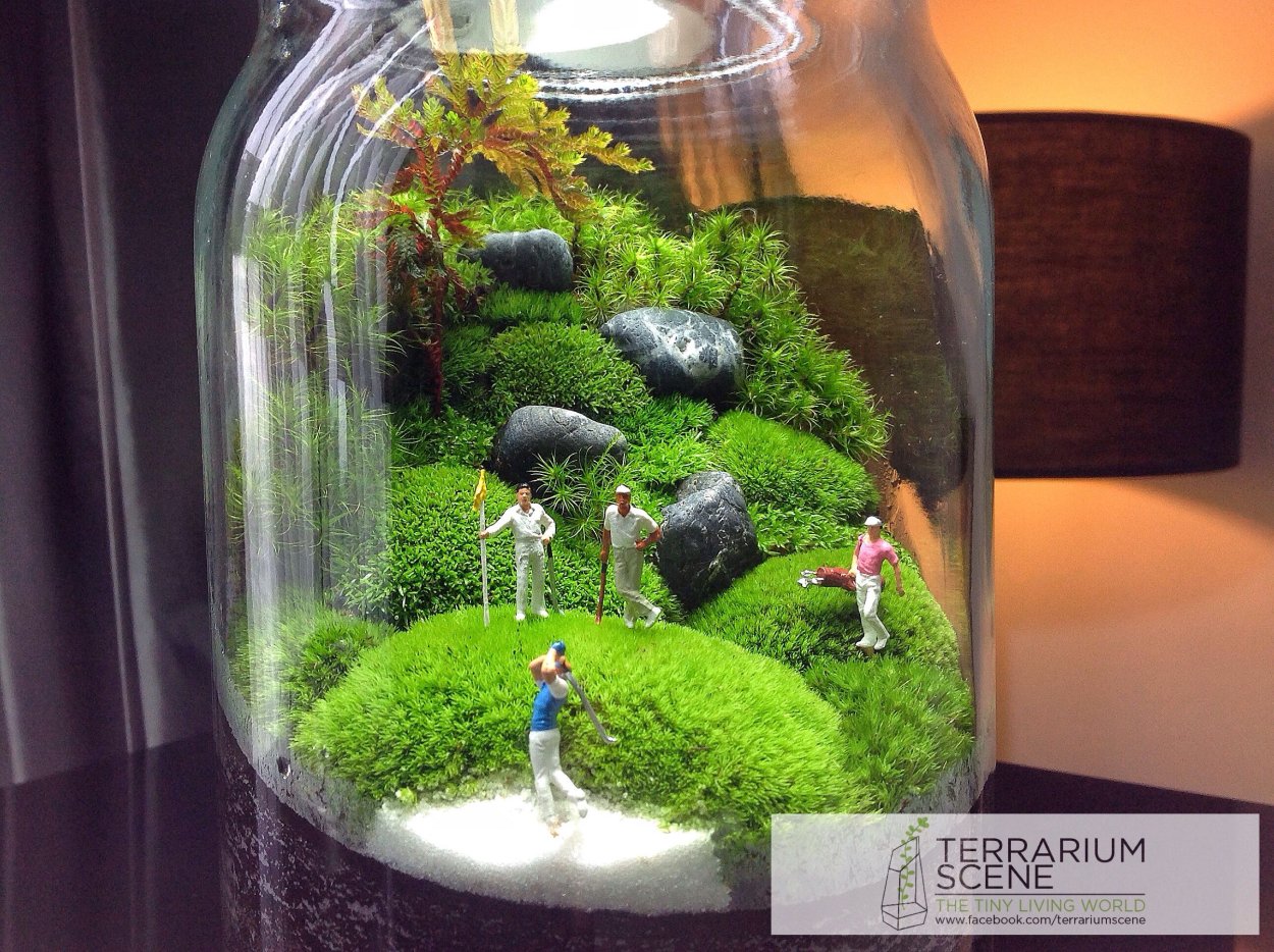 Флорариум Хоббитон