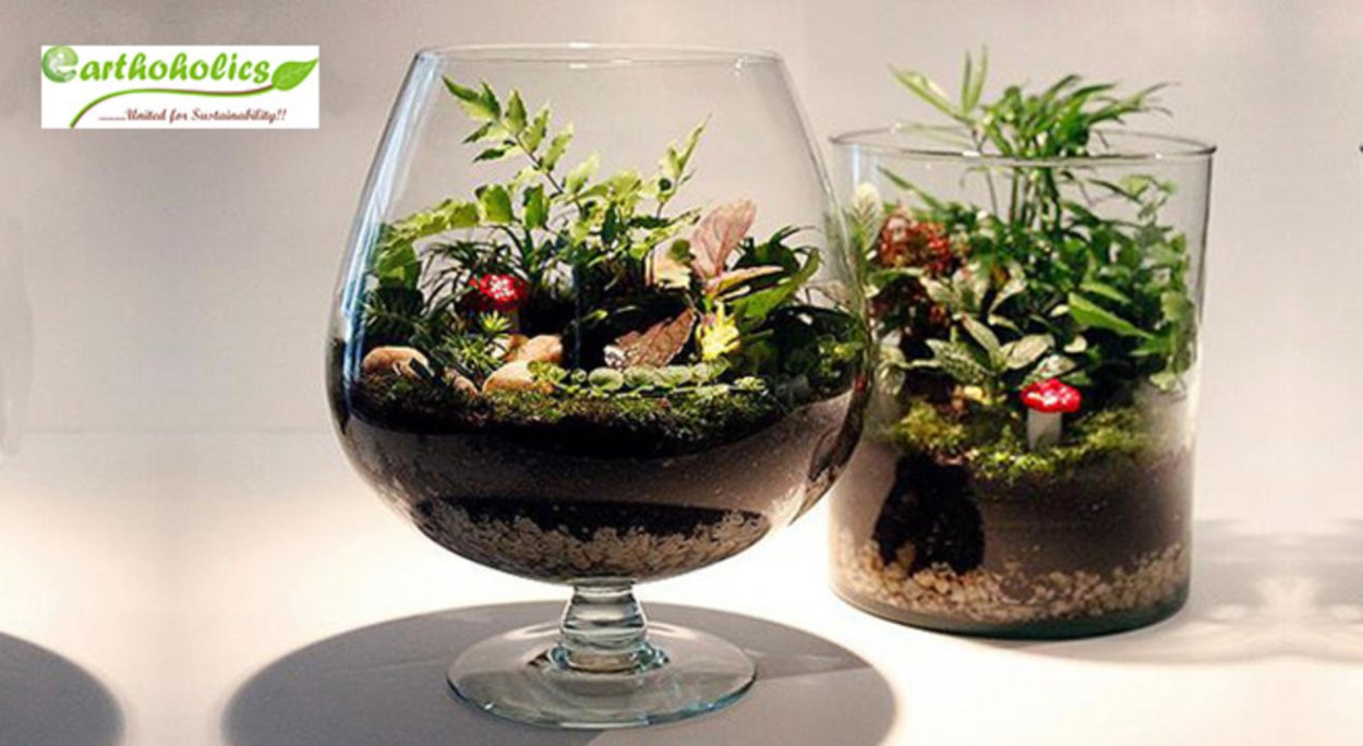 Террариум флорариум аквариум