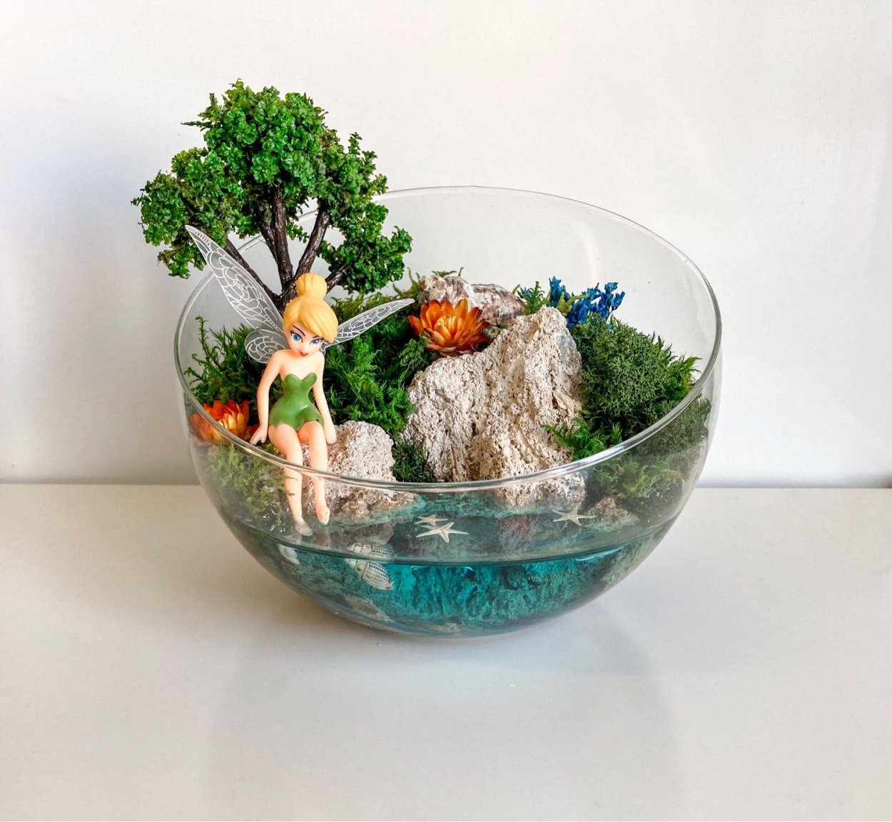 Флорариум и палюдариум в аквариуме