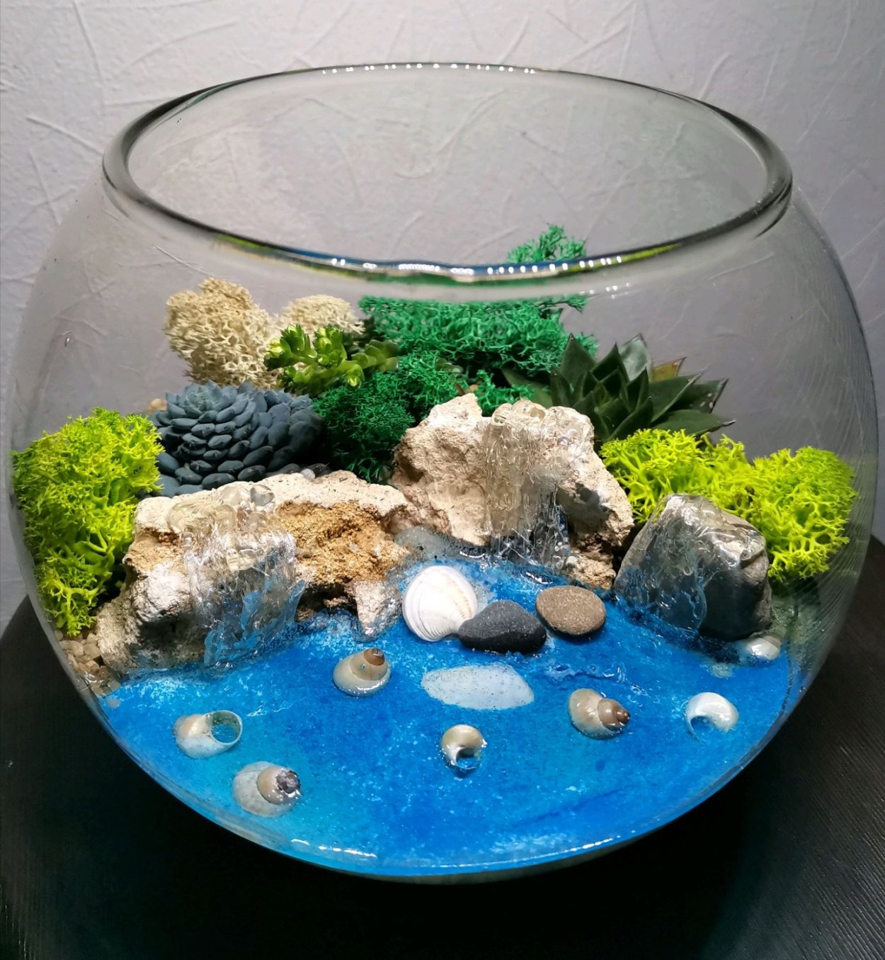 Флорариум плантс