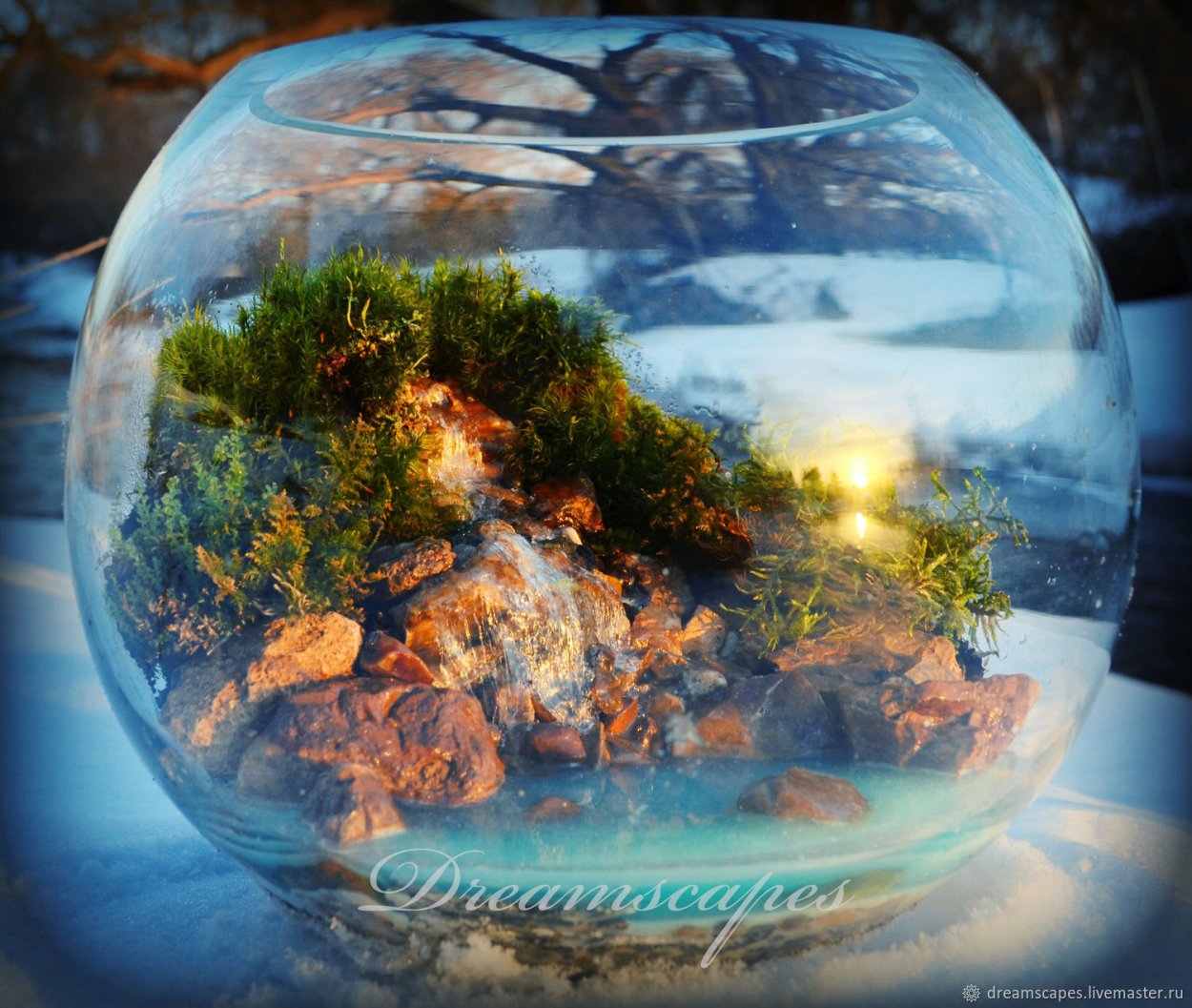 Террариум в садик поделка