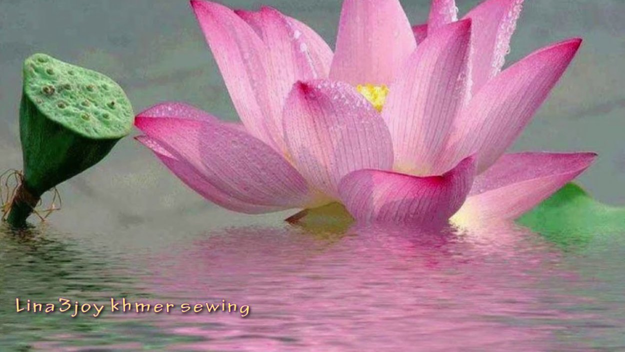 Анимированный Лотос