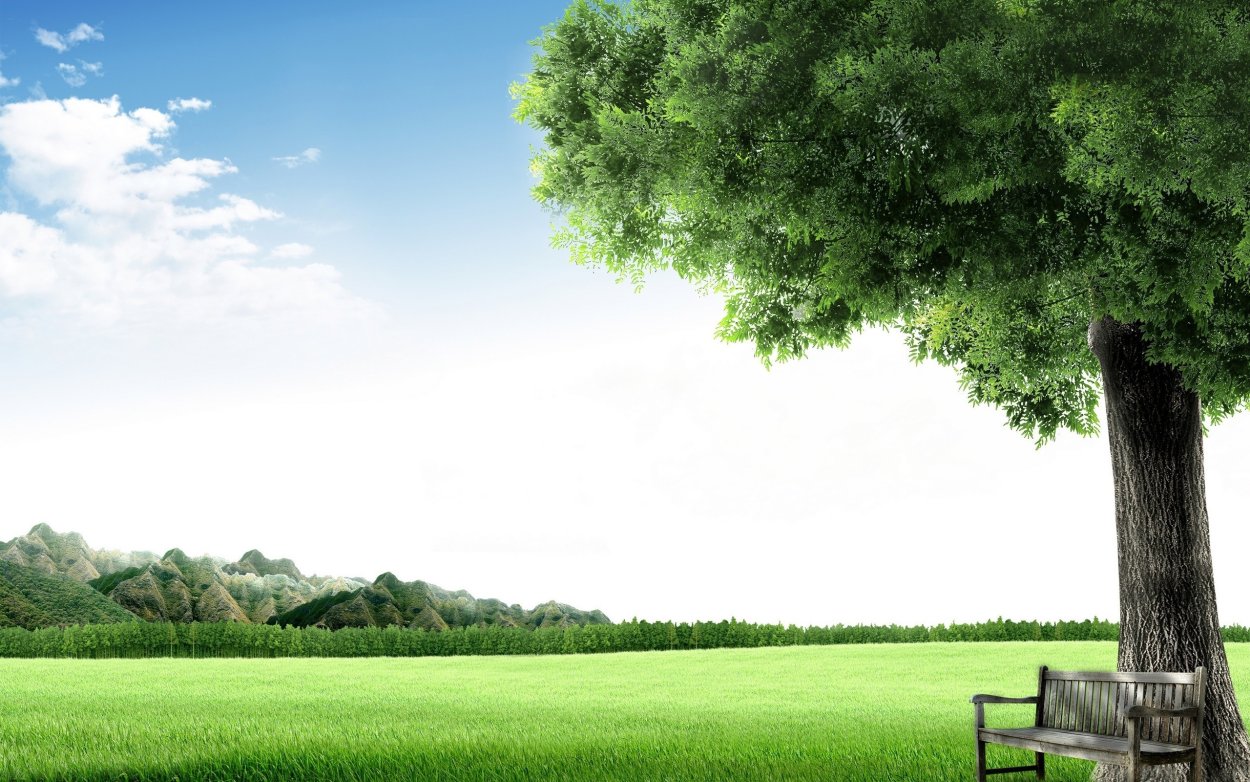 Зелень деревья