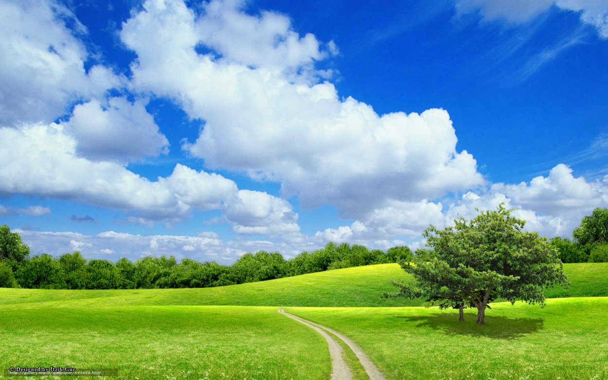 Фон для визуализации природа