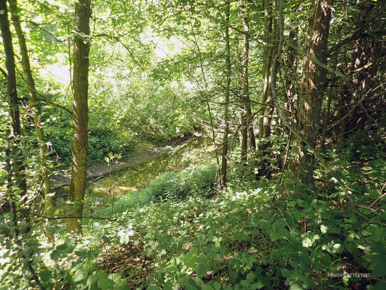Новорожденный найден в лесу Семилукский район Воронежская область