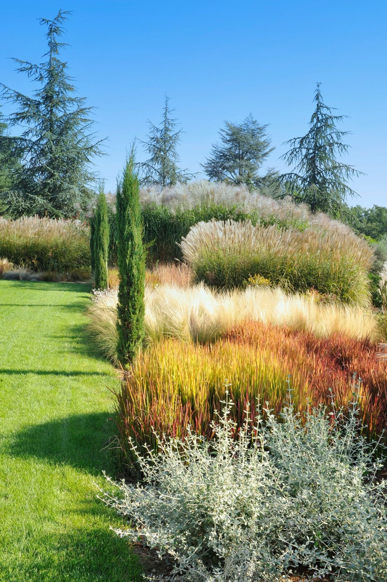 Вейник в миксбордере