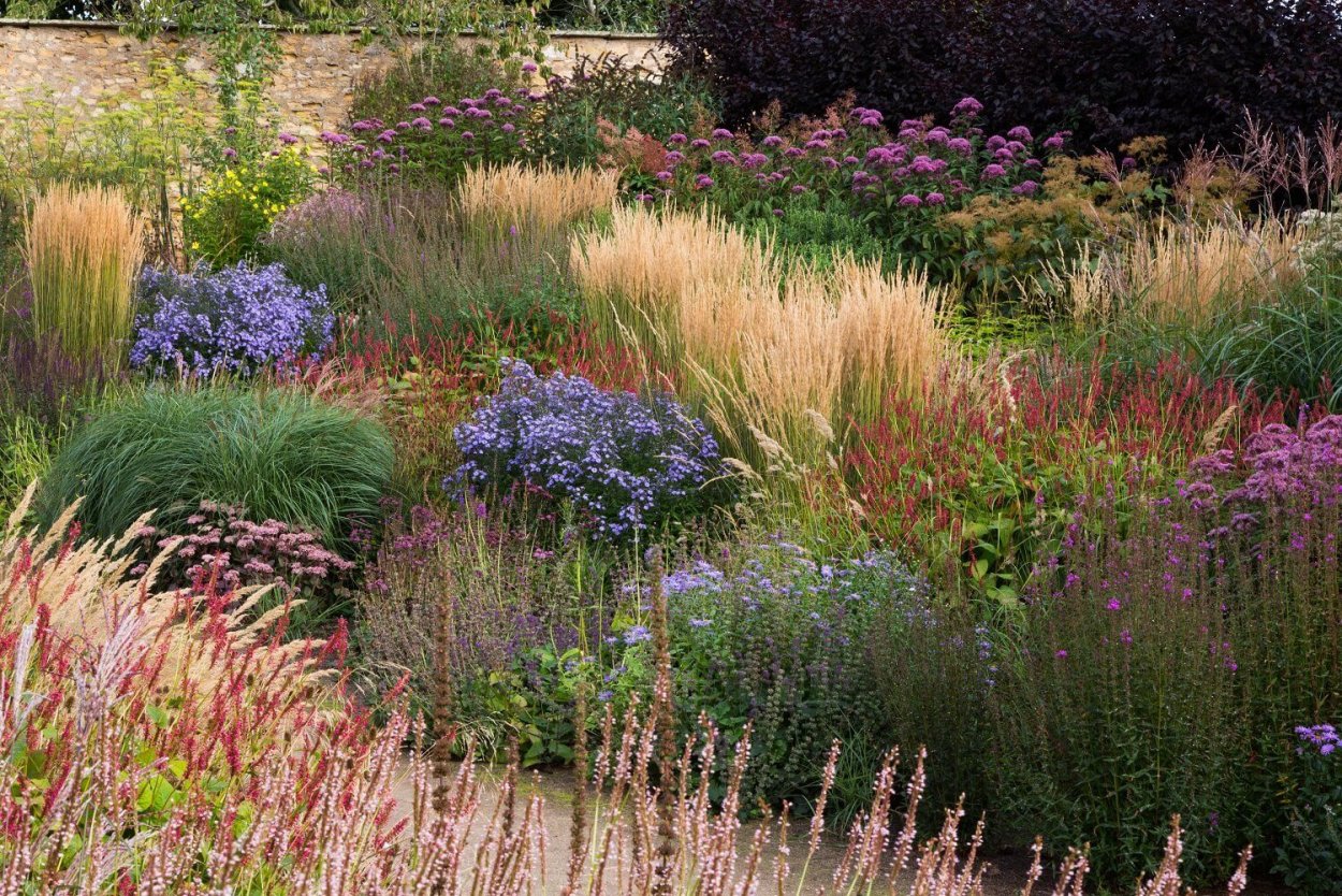 Флоксы в саду пита Удольфа