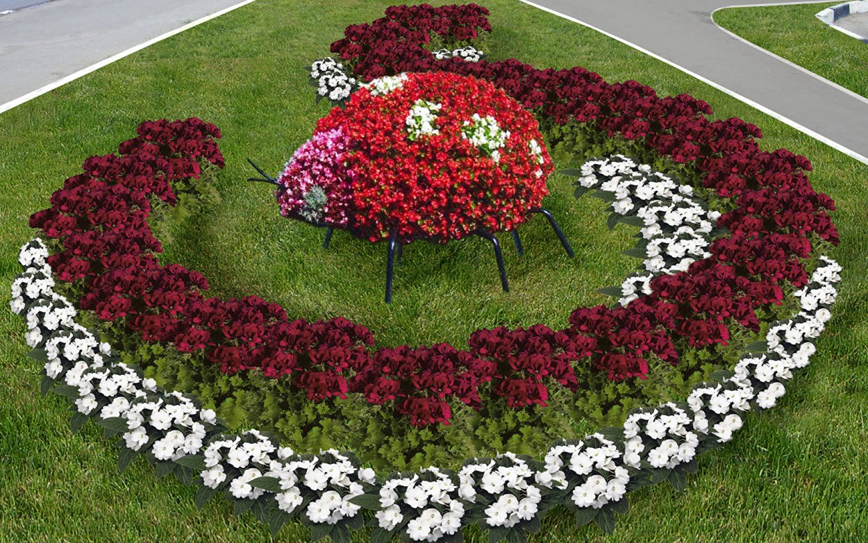 Орнаментальный цветник