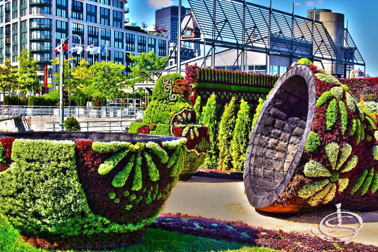 Топиарное Озеленение