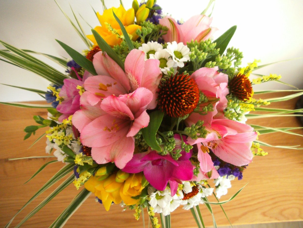 Ранункулюс анемон Гиперикум