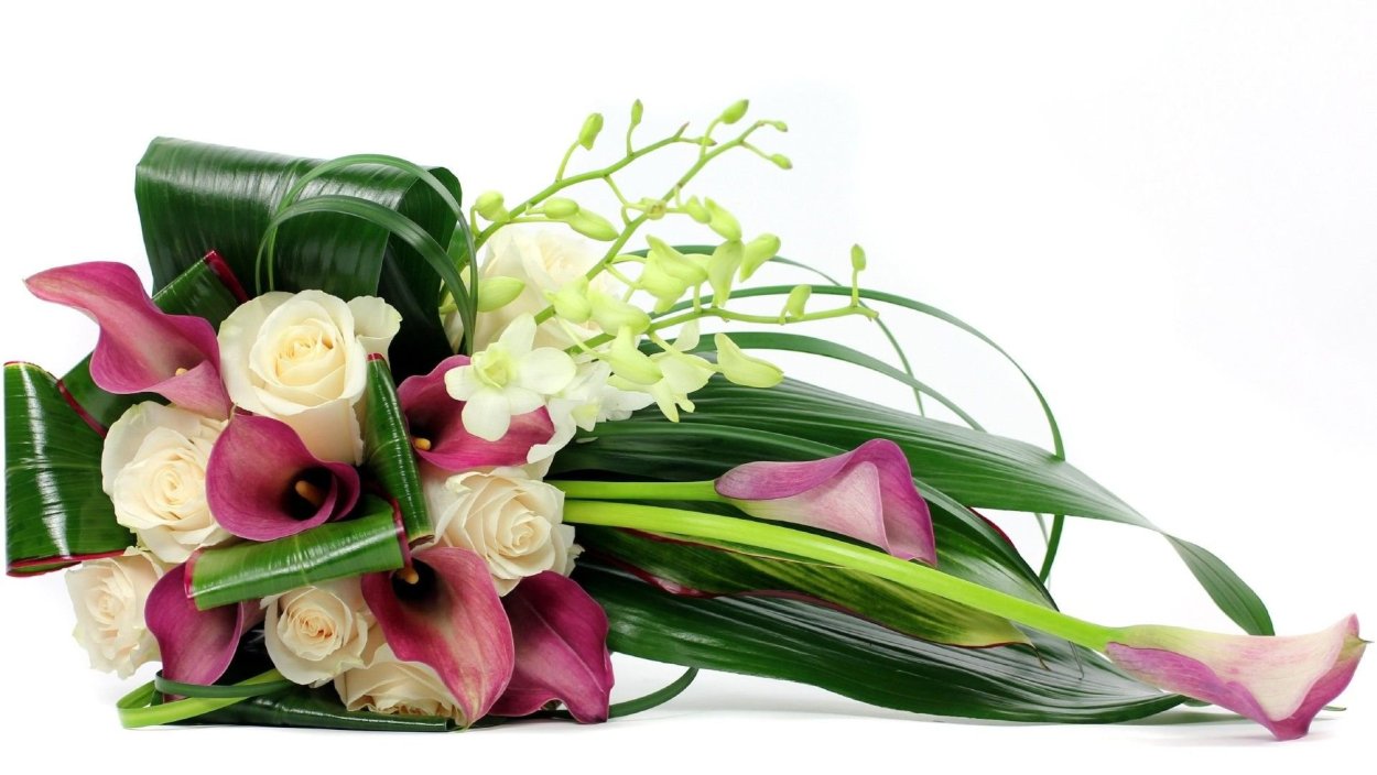 Фрезия (Freesia)