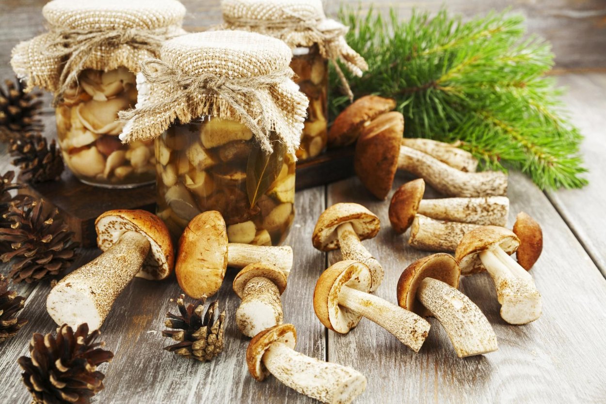 Грибы на столе