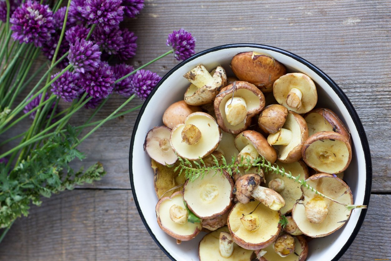 Красивые блюда из грибов