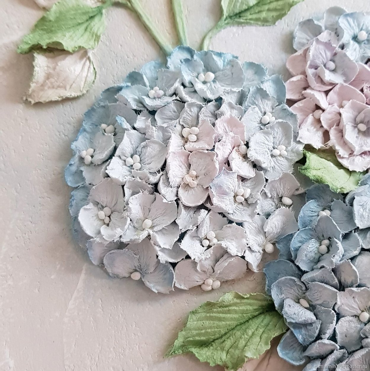 Гортензия макрофила Вариегата