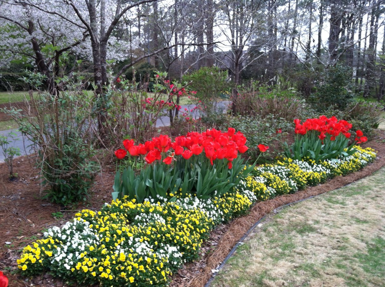 Фловер Гарден