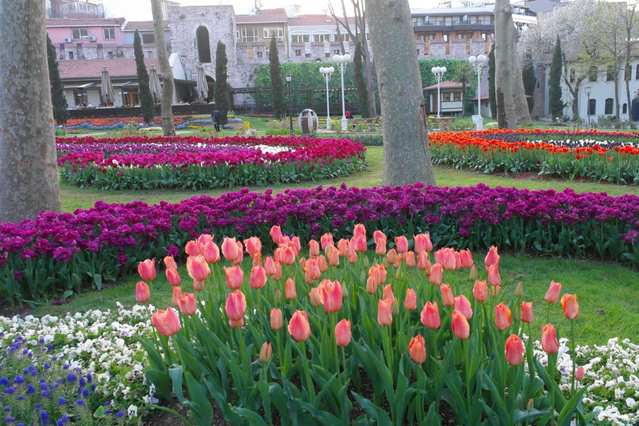 Композиция с тюльпанами