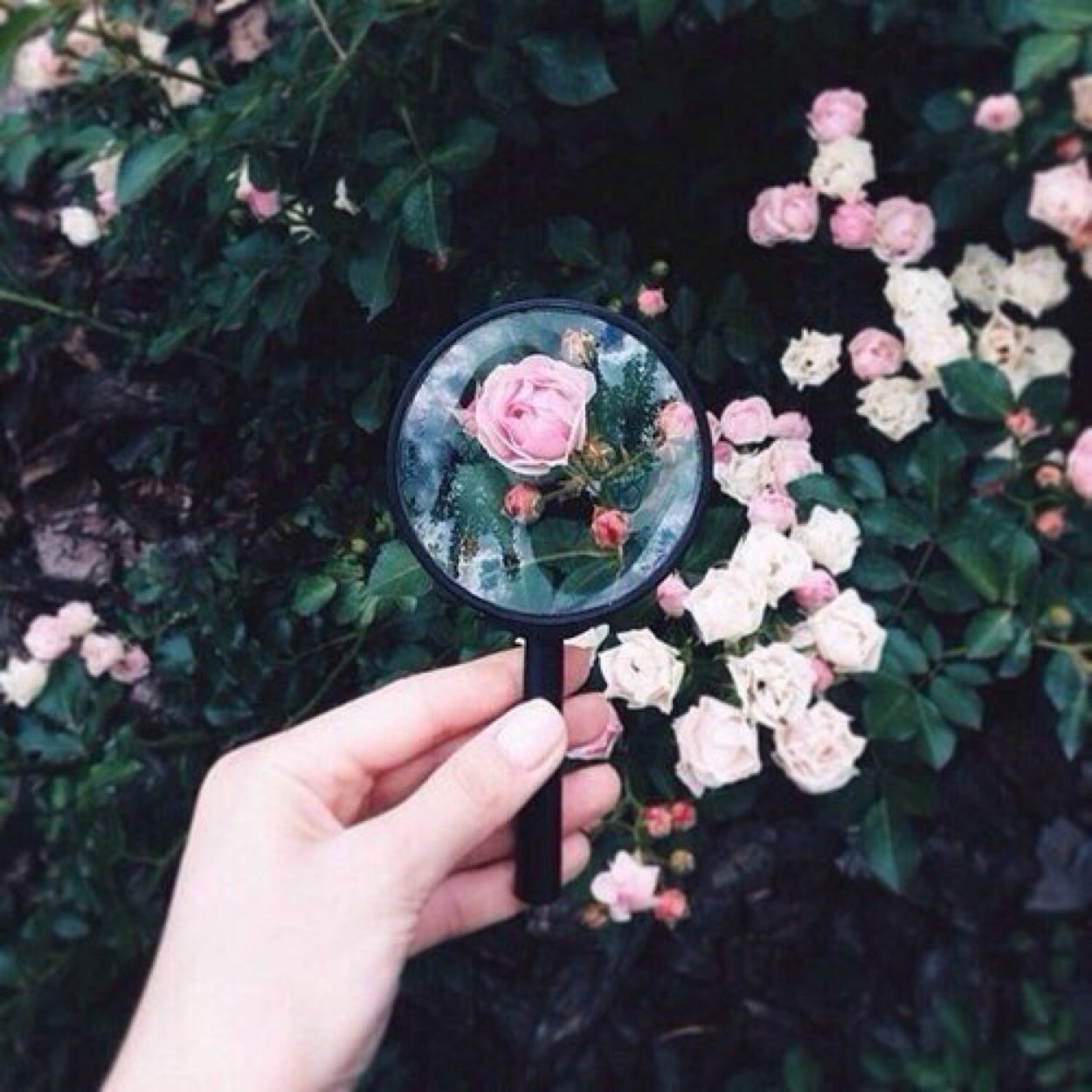 Стильный букет в белых тонах