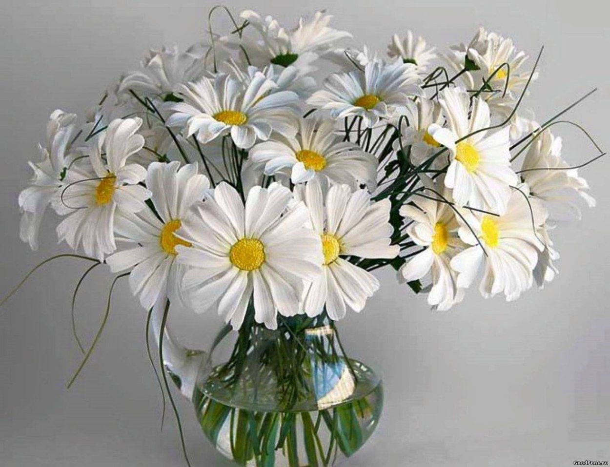Букет из ромашек