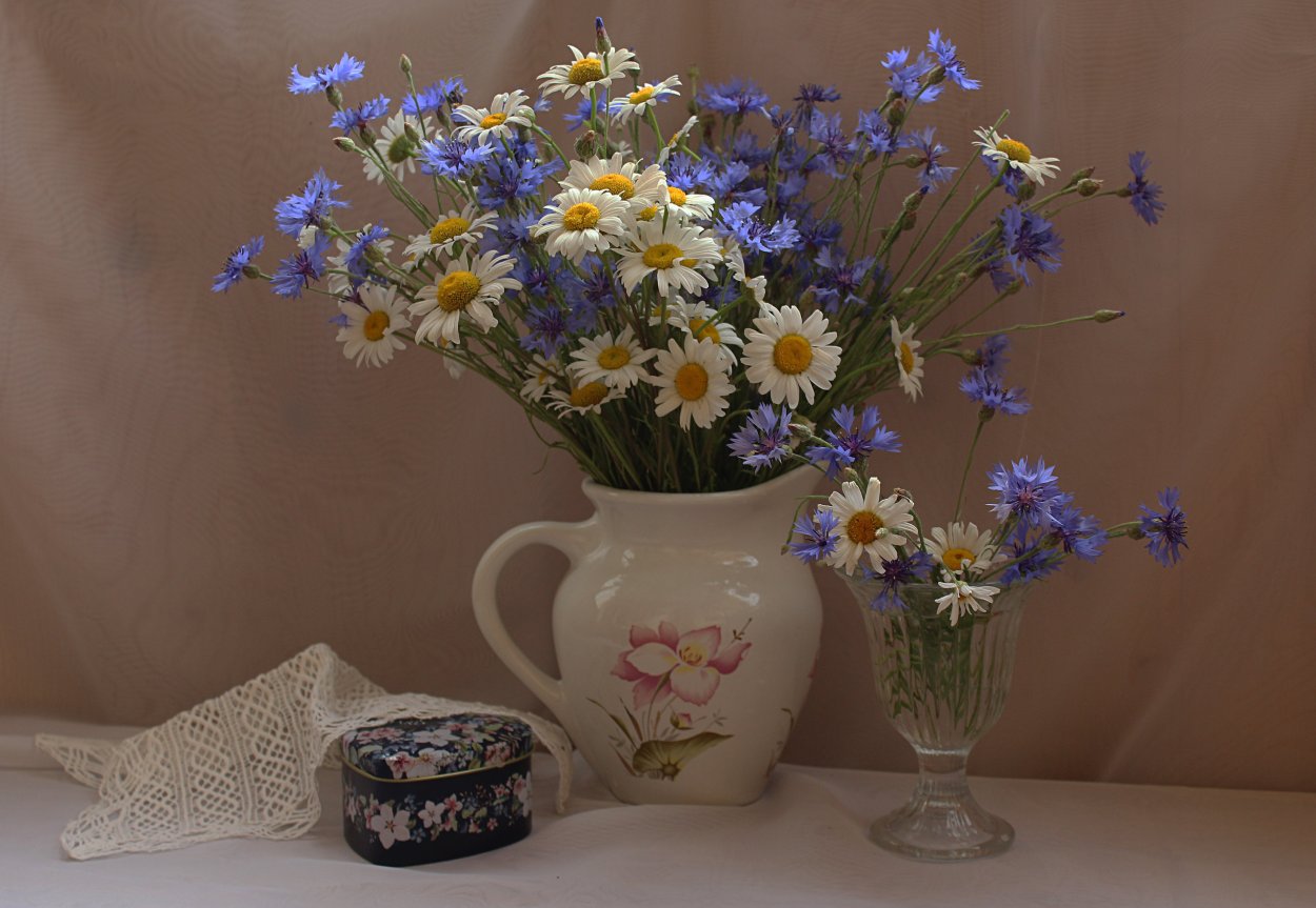 Букет ромашек обои