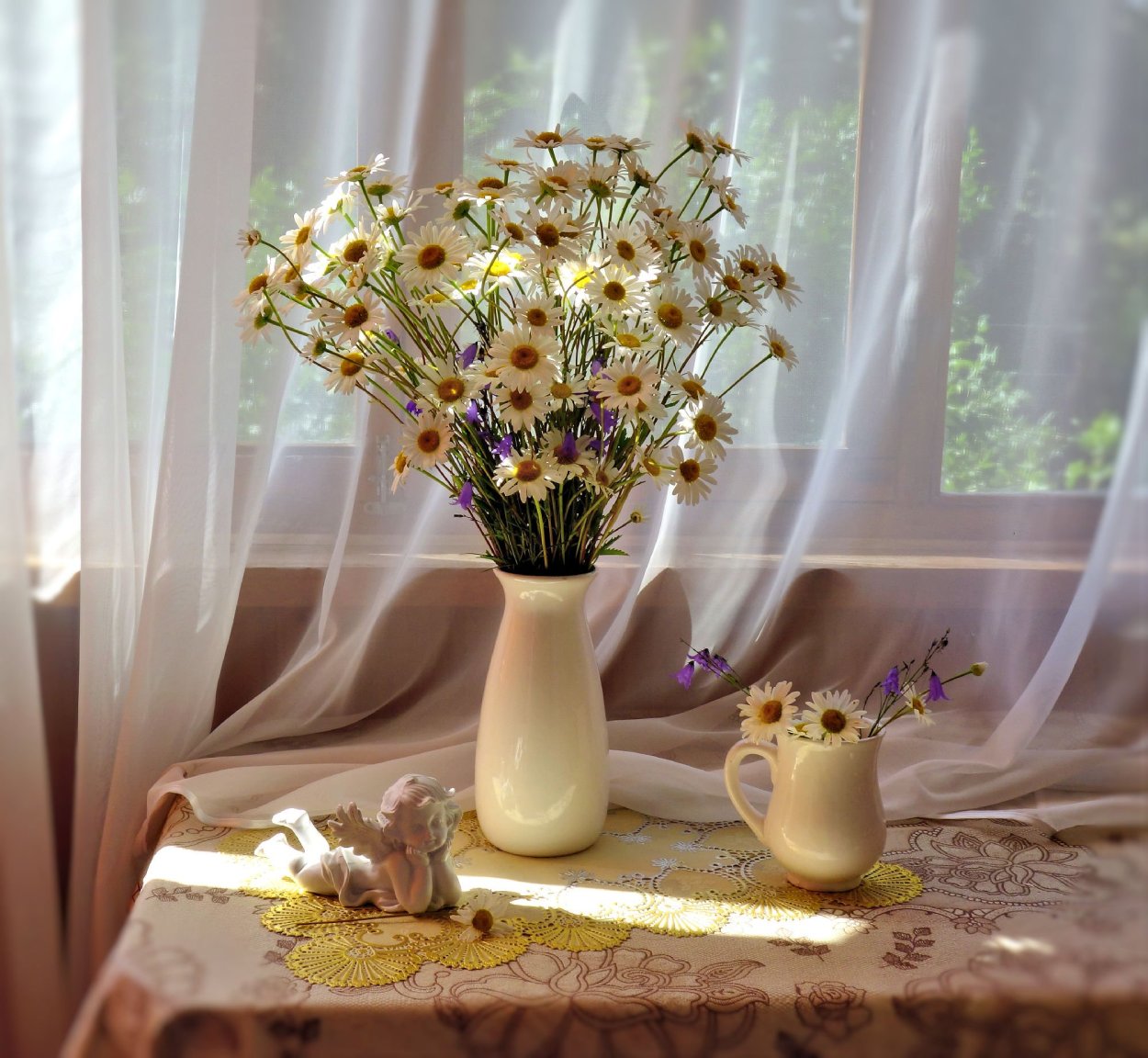 Ромашка цветы