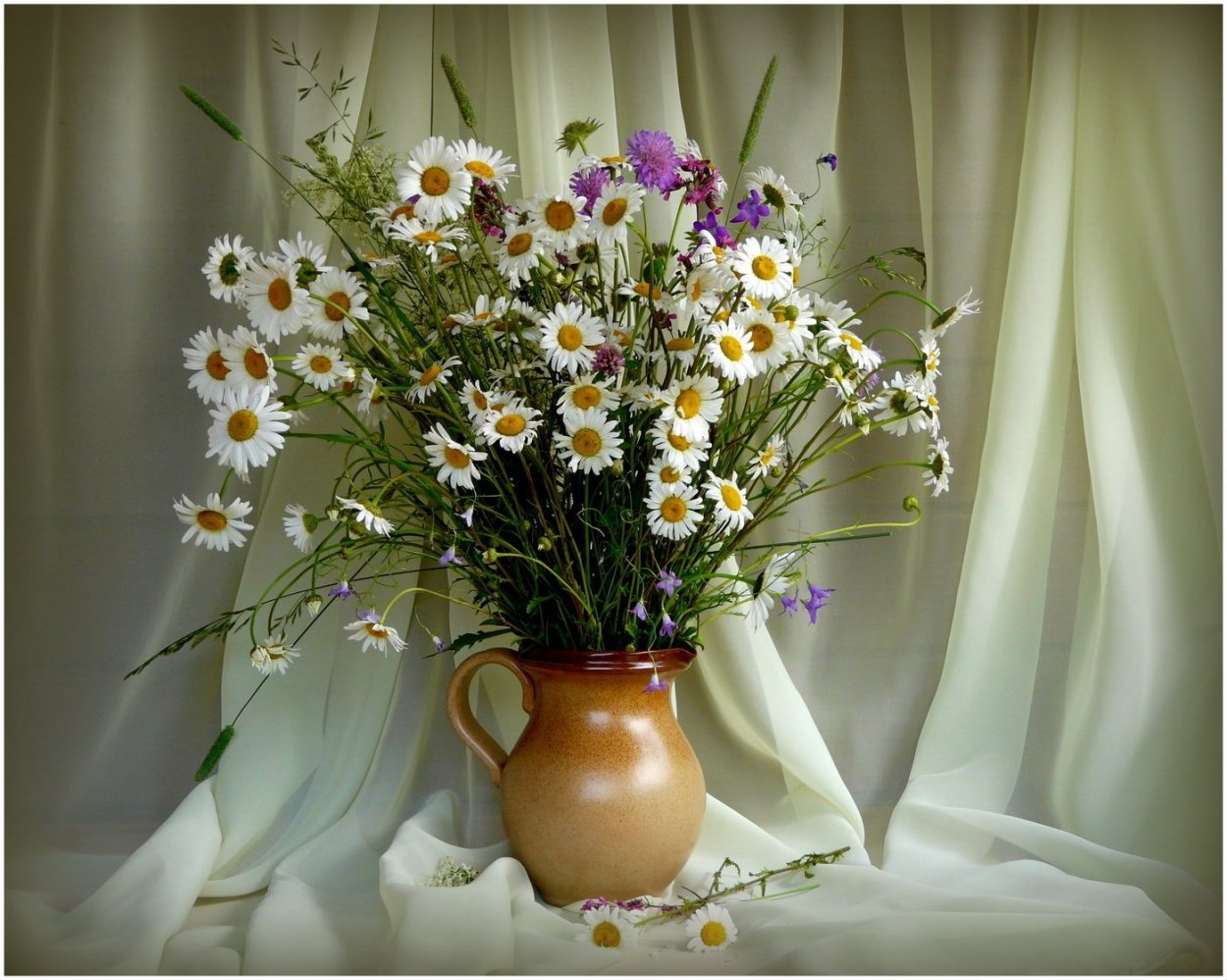 Нежный букет полевых цветов