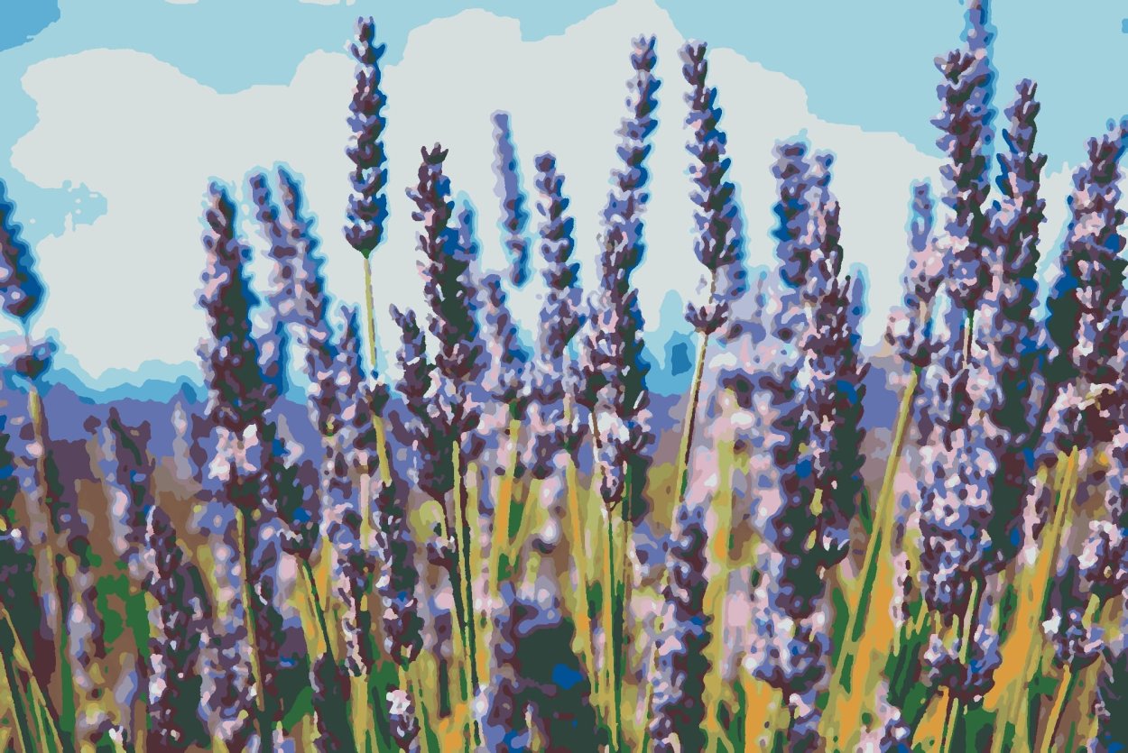 Шалфей лавандоволистный