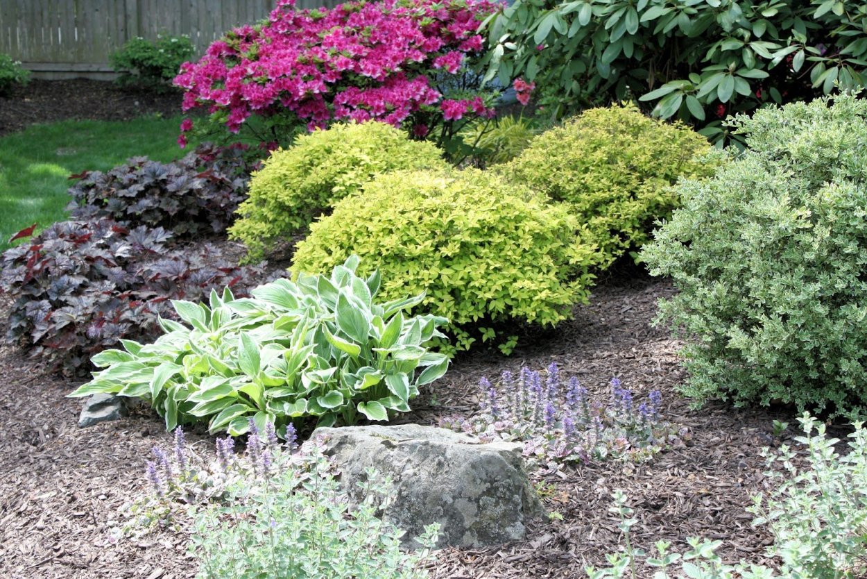 Миксбордер с гортензиями и спиреями