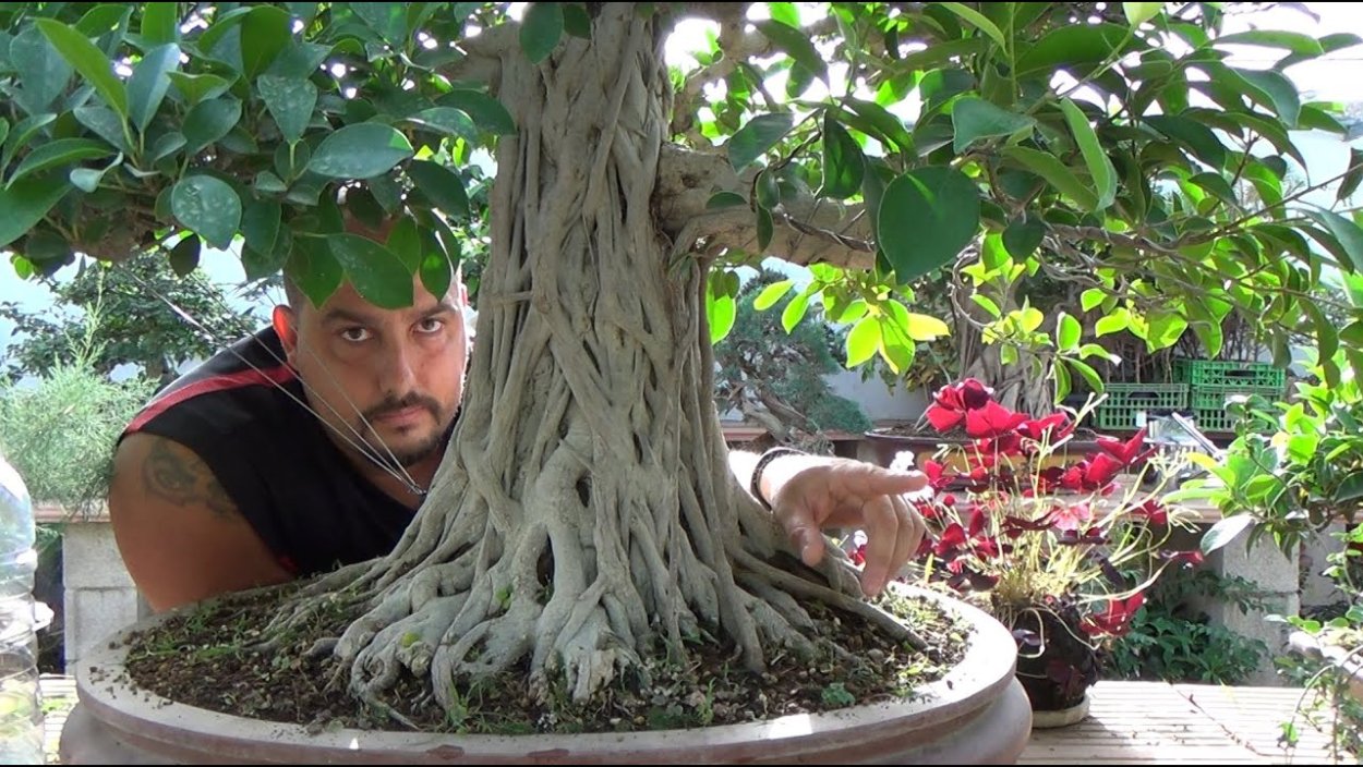 Полезный стресс