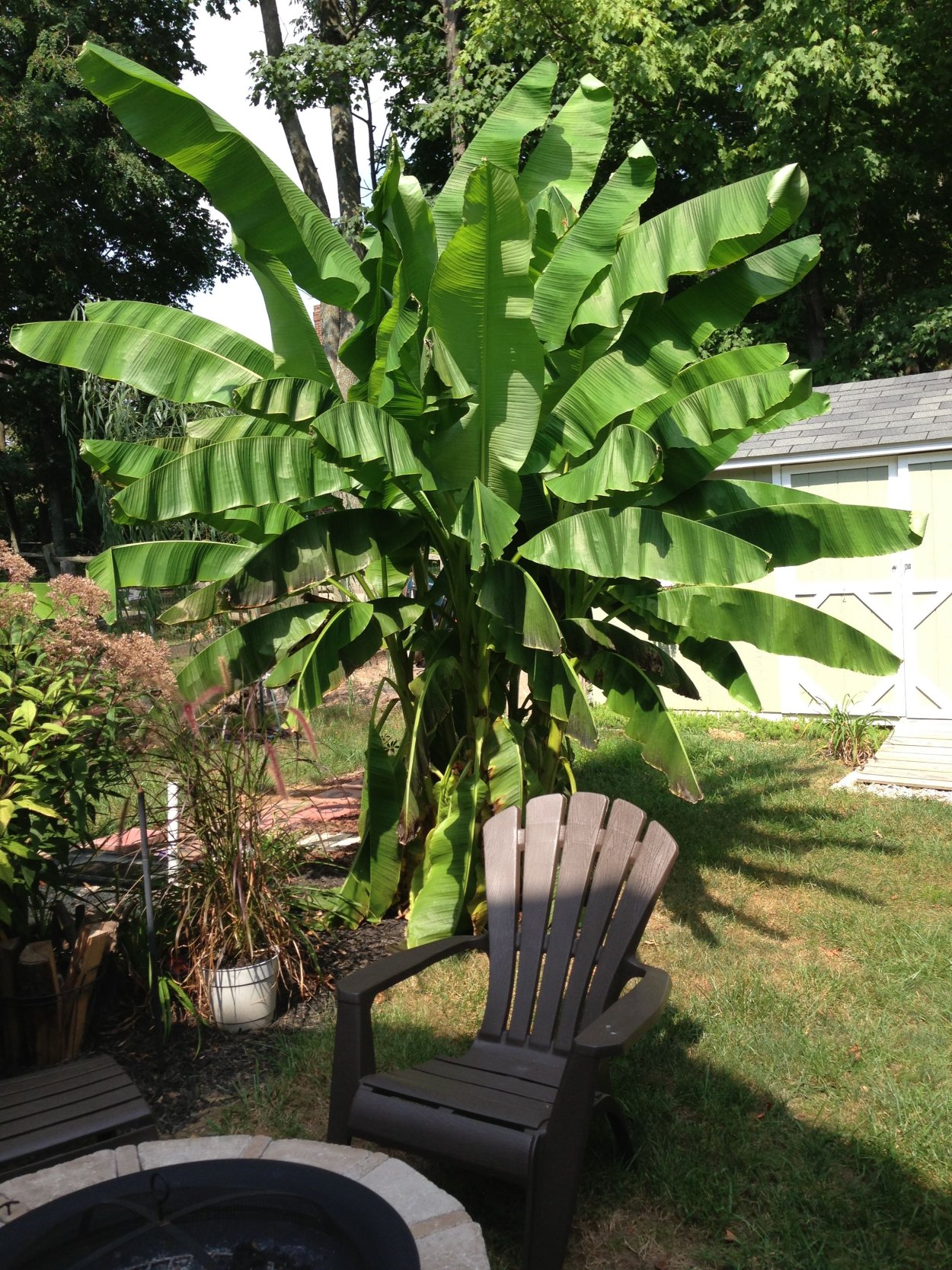 Стиль Тропикал Парадиз