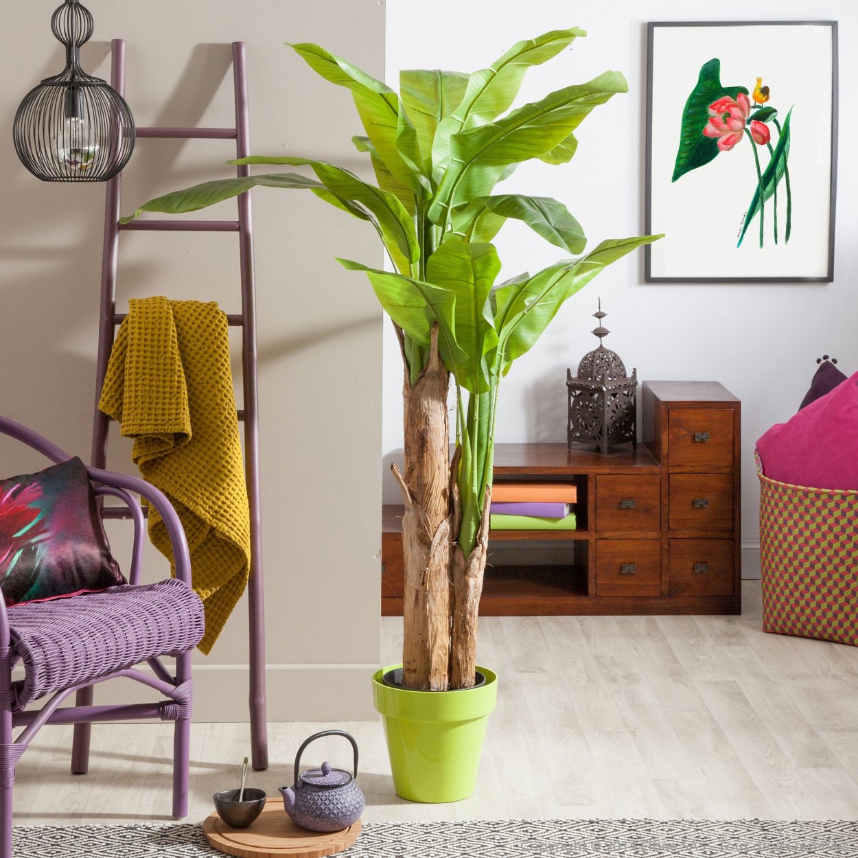 Банановая Пальма в горшке