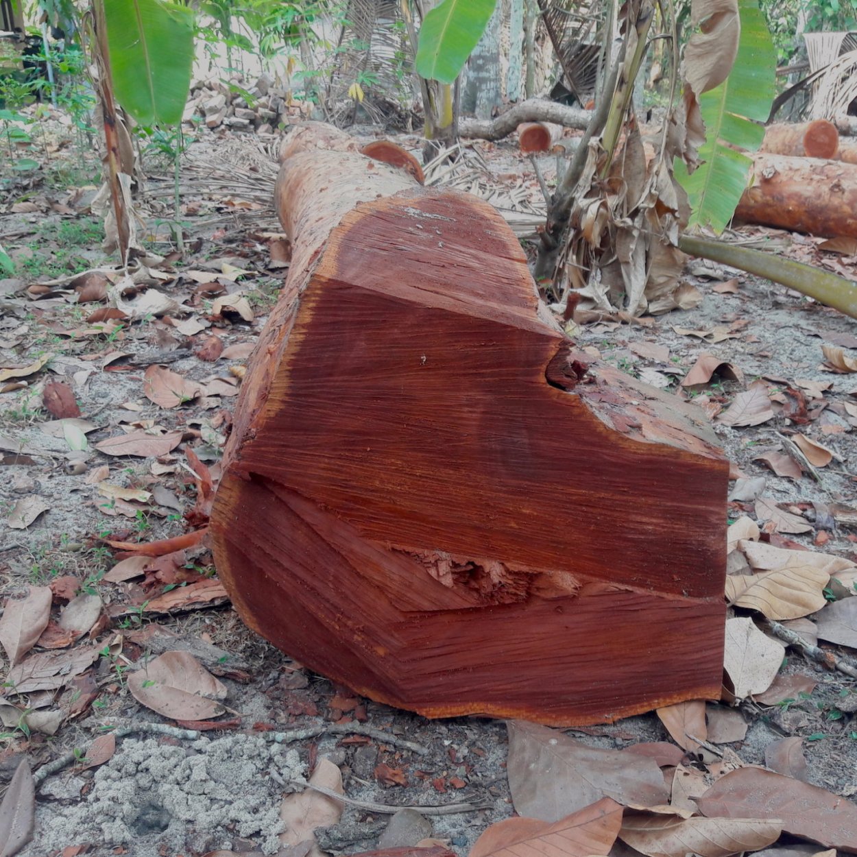 Деревянные строительные материалы