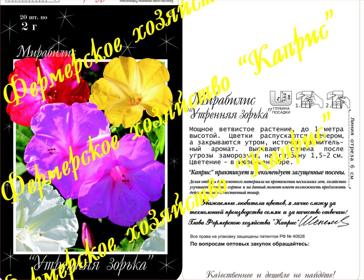 Цветок ночная красавица мирабилис