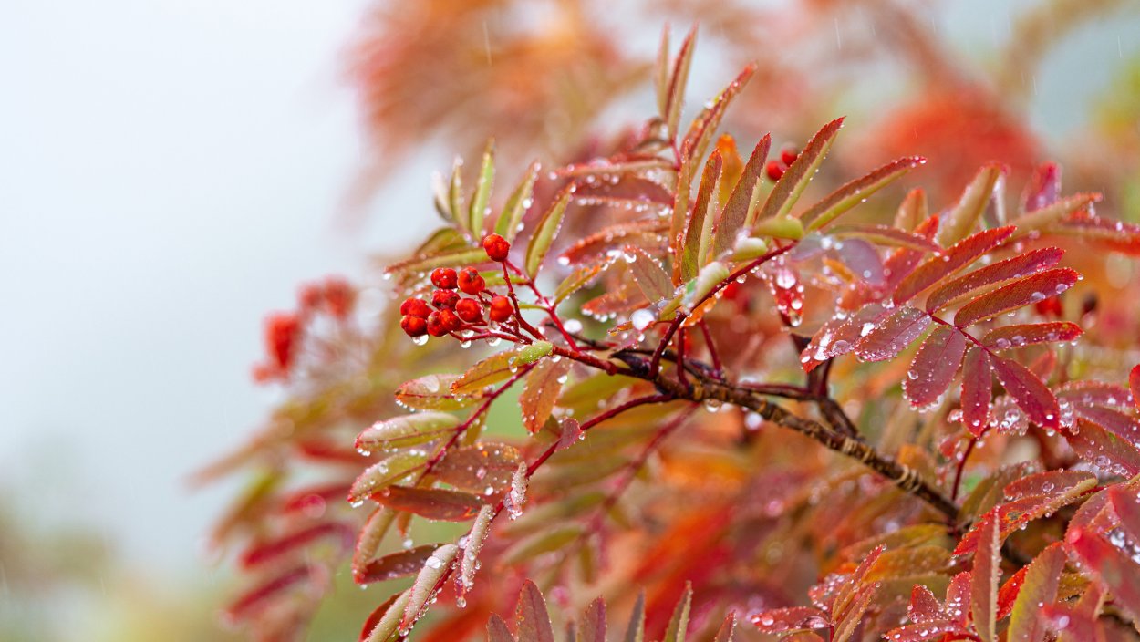 23 Сентября Павел рябинник