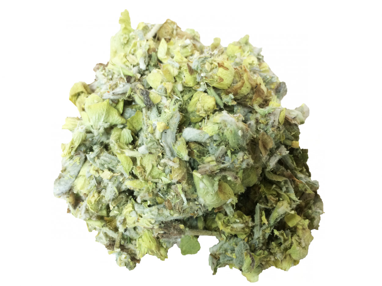 Лимонник сушеный