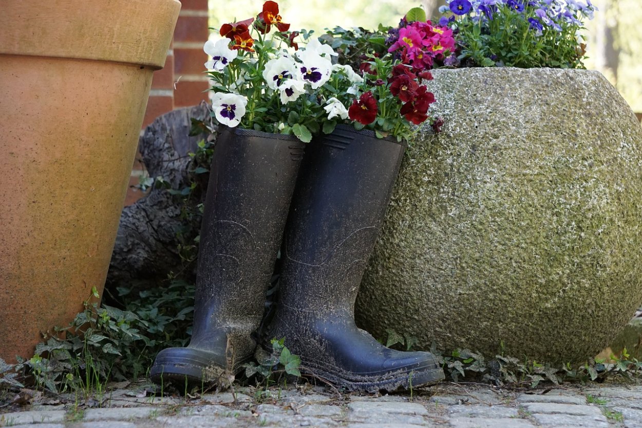 Из резиновых сапог цветник