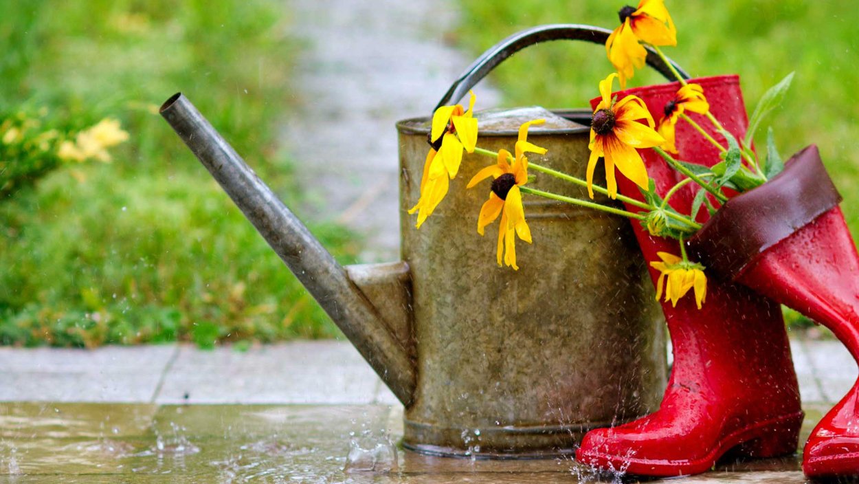 Резиновые сапоги и зонт