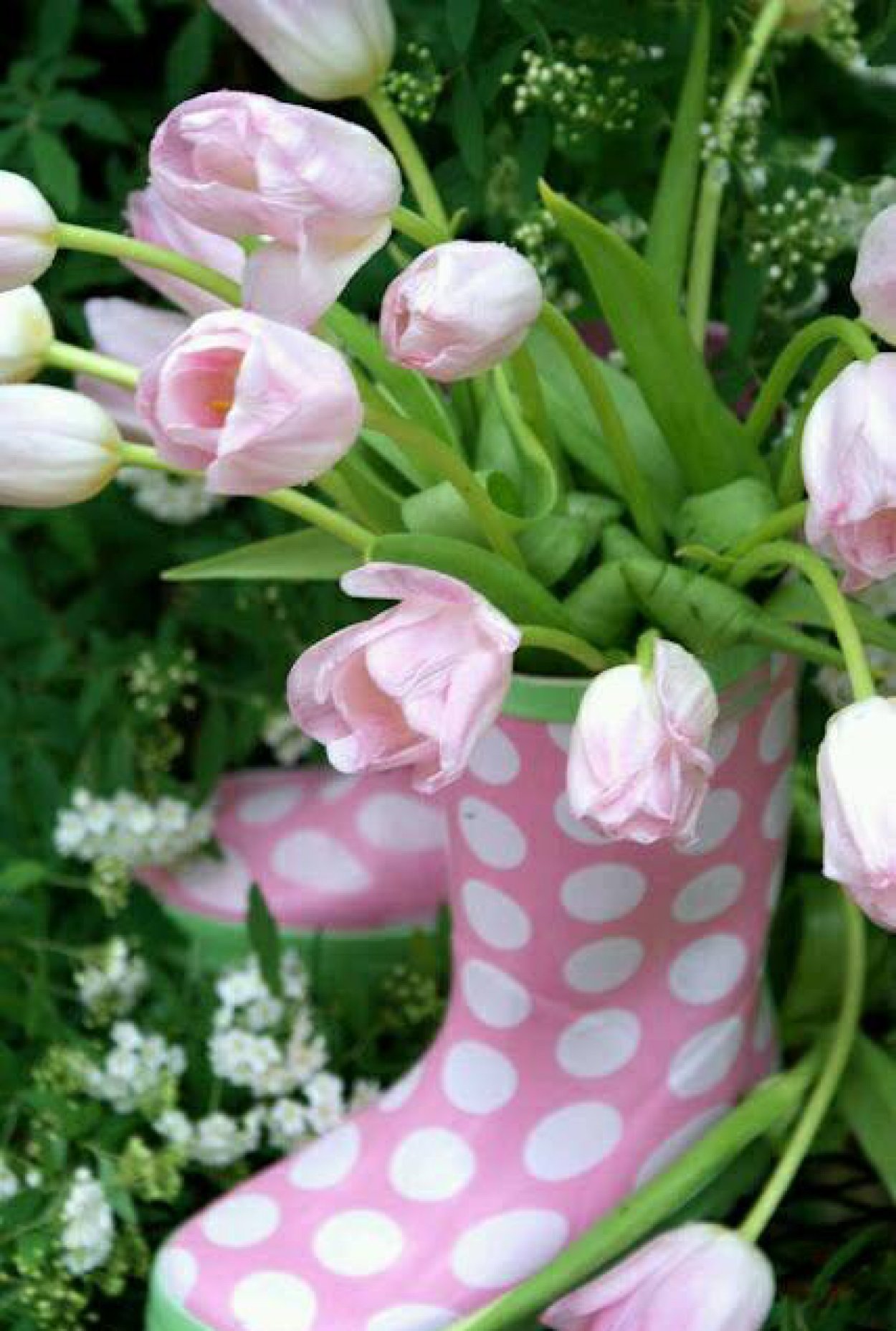 Тюльпаны в резиновых сапогах