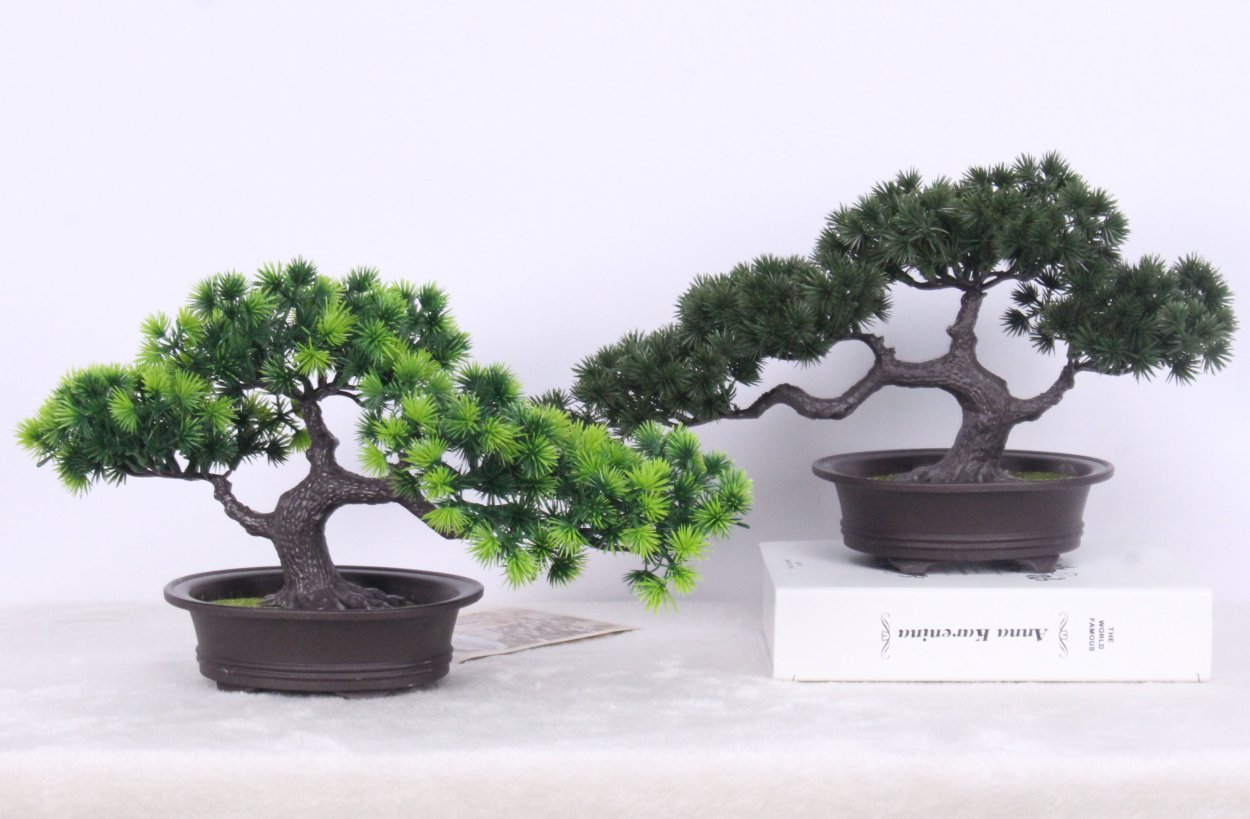 Бонсай в интерьере