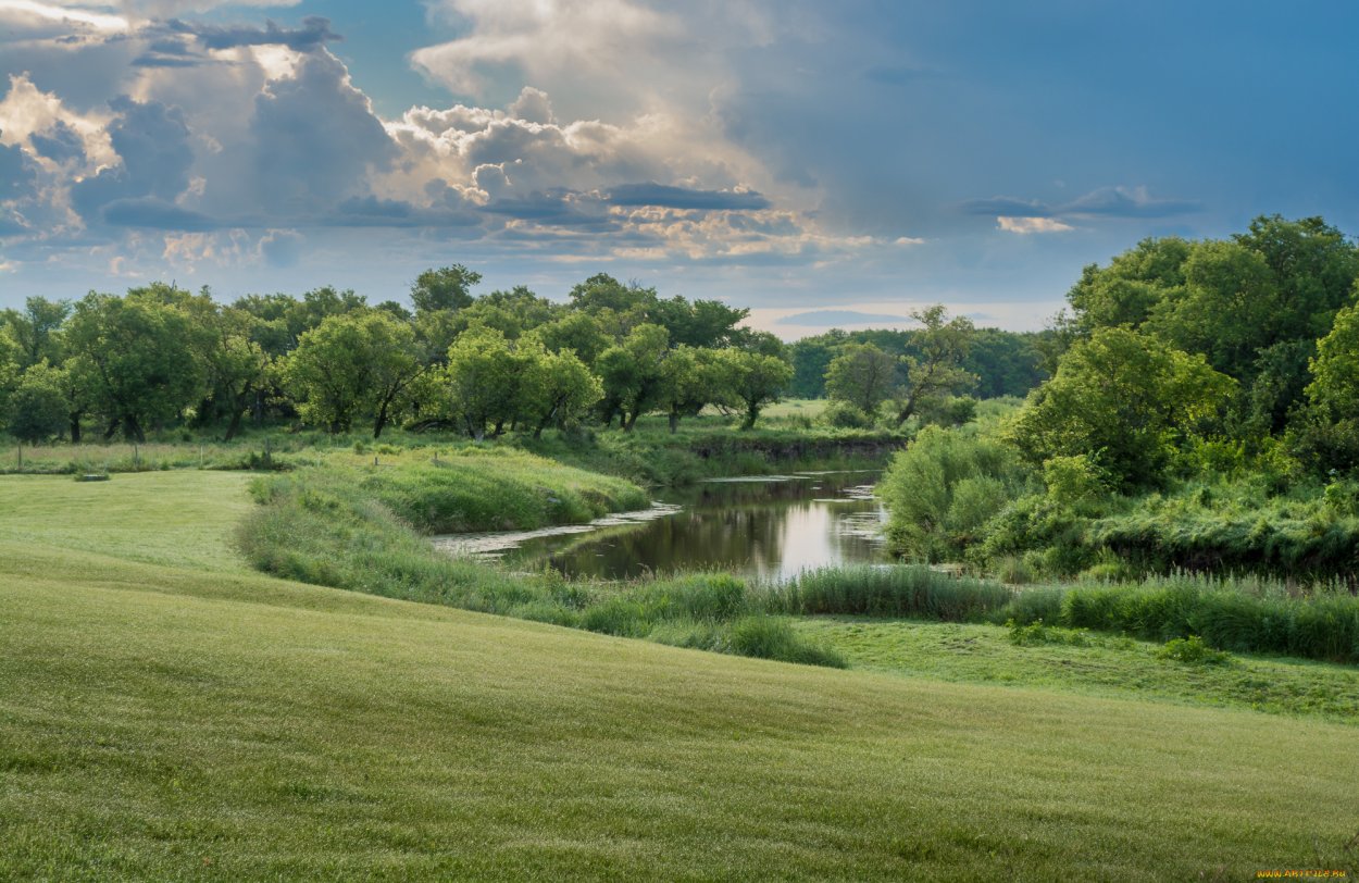 Лес поле река