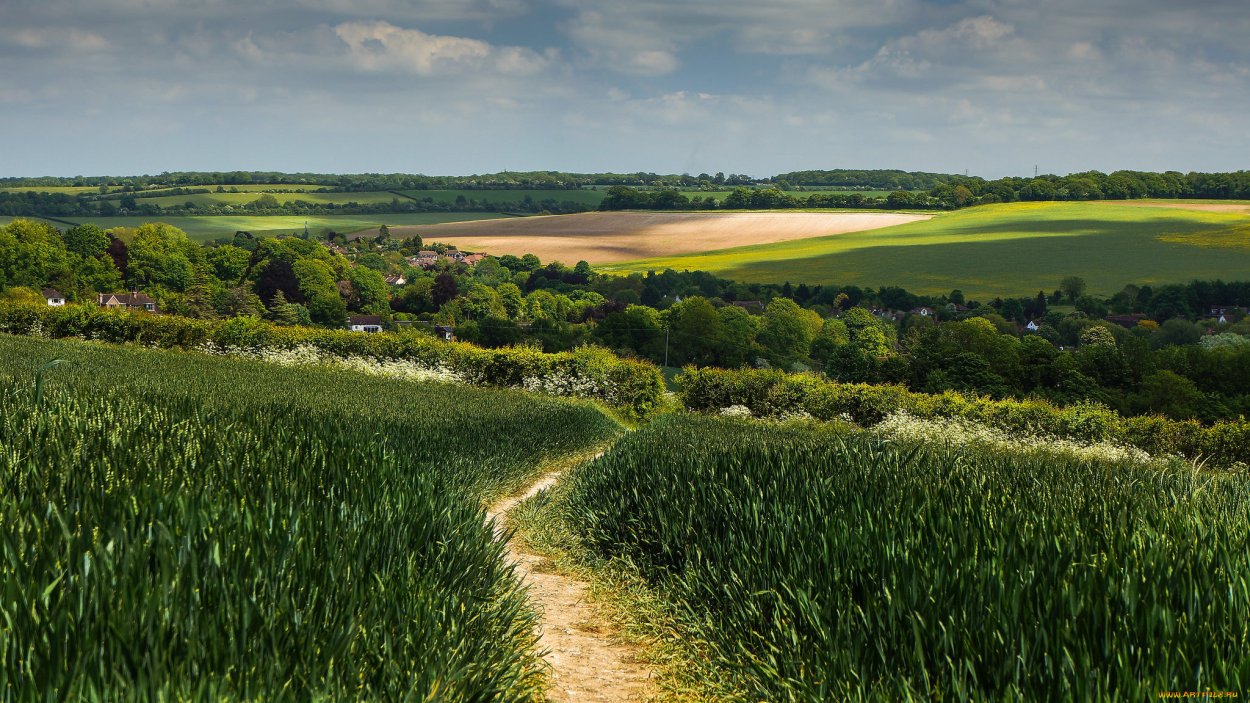 Проселочная дорога